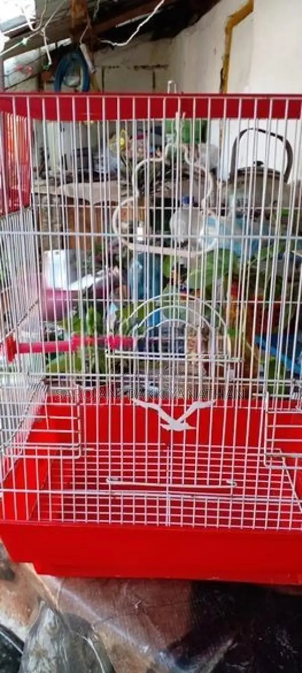 Bird cage