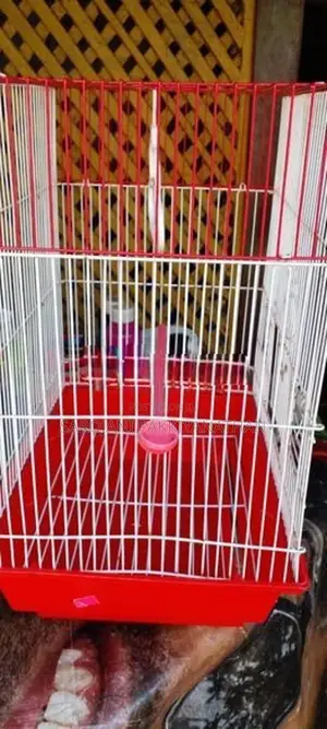 Bird cage