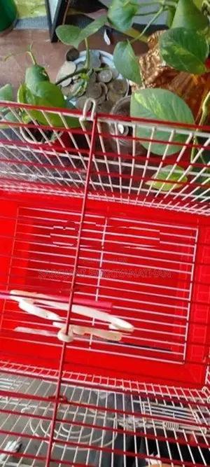 Bird cage