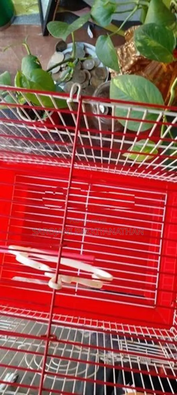 Bird cage
