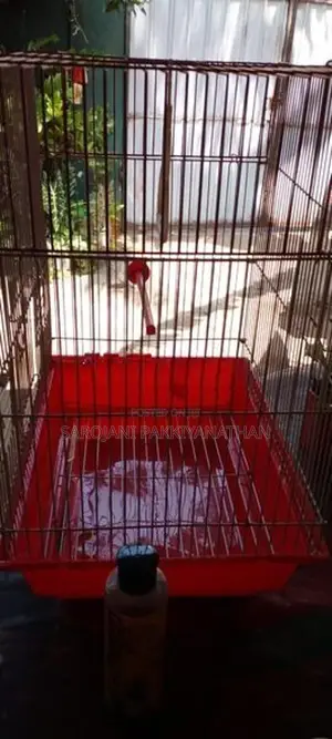 Bird cage