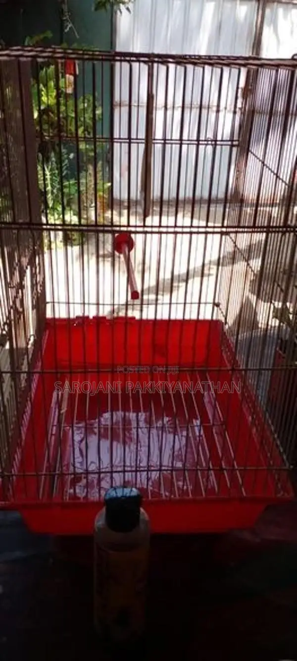 Bird cage