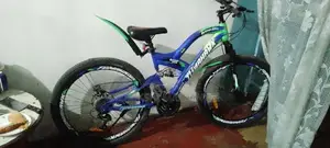Tomahawk Bicycle