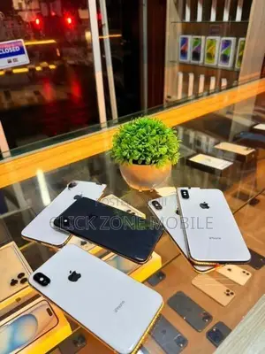 Apple iPhone X 256GB (Used)