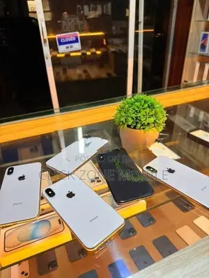 Apple iPhone X 256GB (Used)