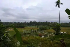 Villa Bungalow for Sale (3965) Wadduwa