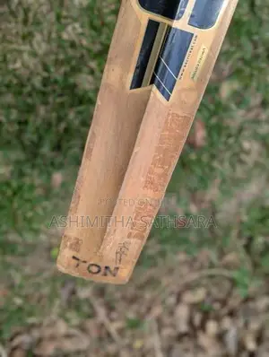 SS Ton Bat