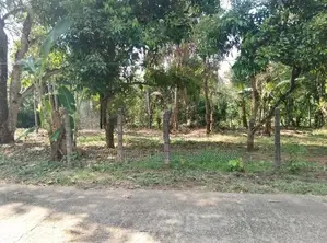 Land for Sale in Nittambuwa