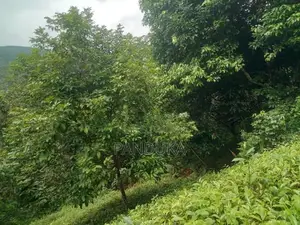 50 acre Land for sale in Ehaliyagoda