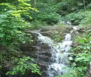 50 acre Land for sale in Ehaliyagoda