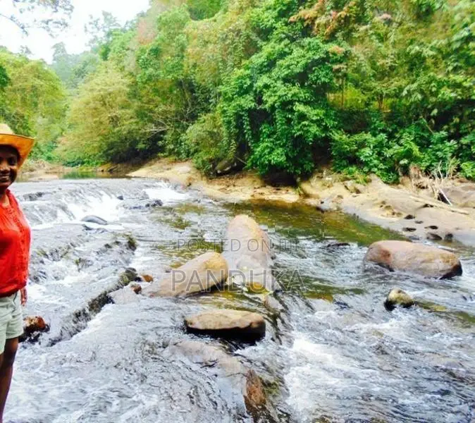 50 acre Land for sale in Ehaliyagoda