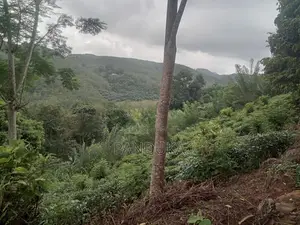 50 acre Land for sale in Ehaliyagoda