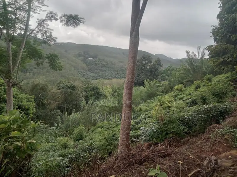 50 acre Land for sale in Ehaliyagoda