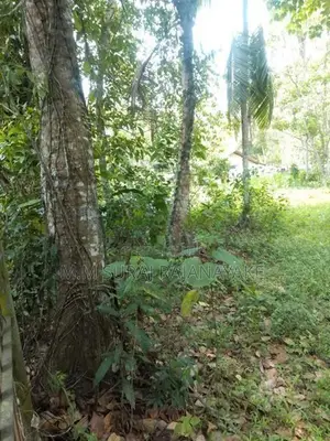 Land for Sale in Seeduwa