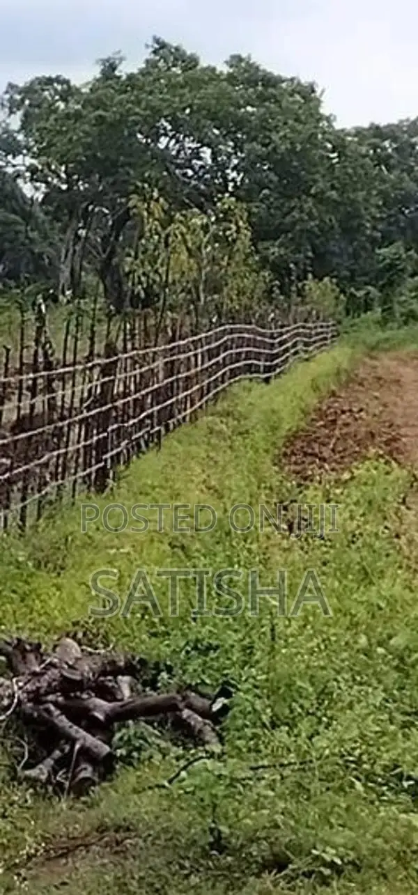 Land for Sale கள்ளிகுளம் சிதம்பரம் ஓமந்தை