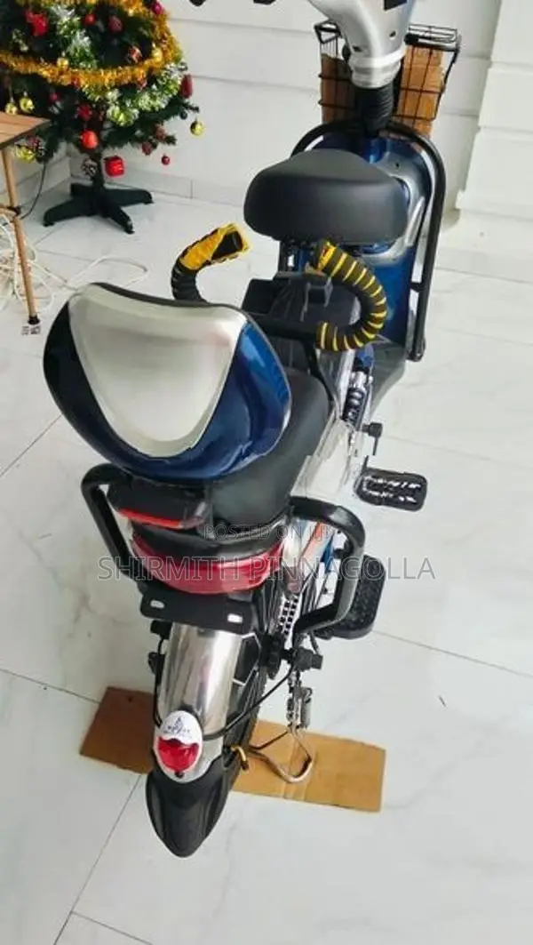 Electric Bike 2025