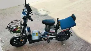 Electric Bike 2025