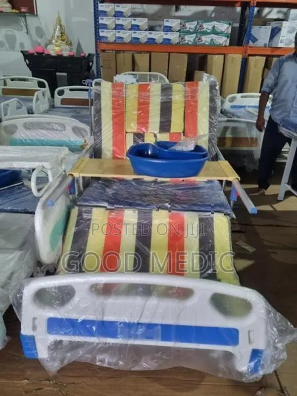 Four Function Manual Beds with Sanitory