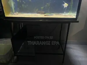3 Ft Fish Tank