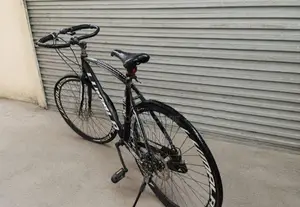 Lumala Bicycle