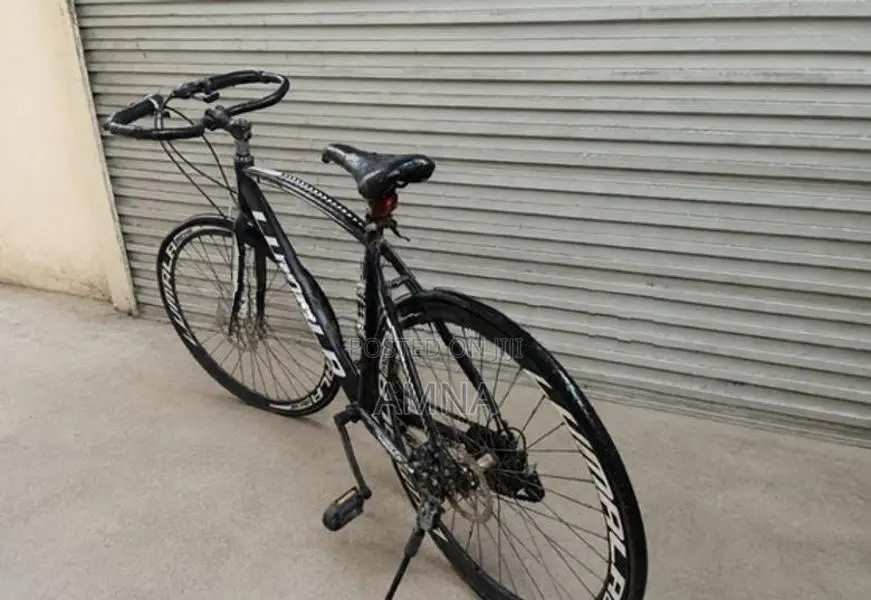 Lumala Bicycle