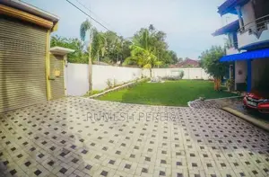 Malaysian Grass