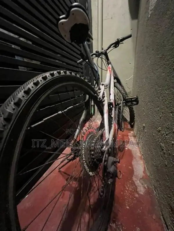 Bicycle