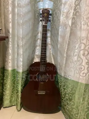 Semi Acoustic Guitar