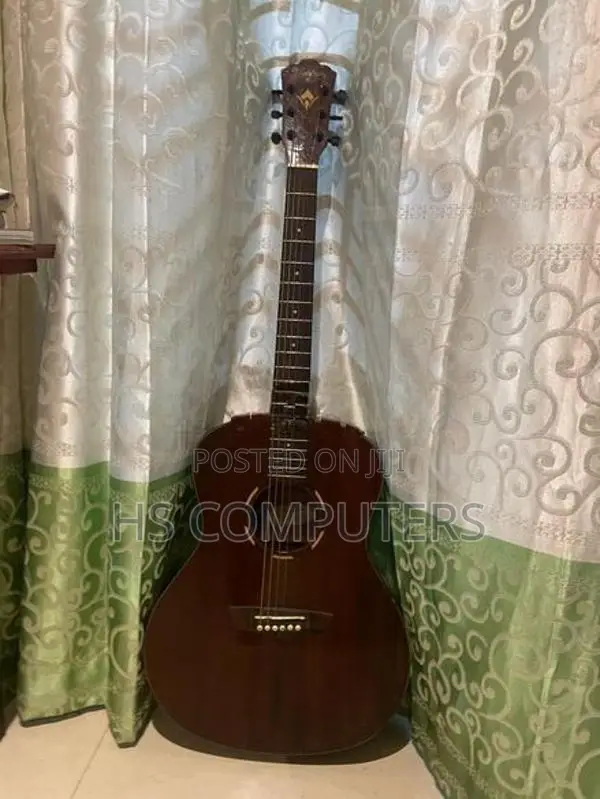 Semi Acoustic Guitar