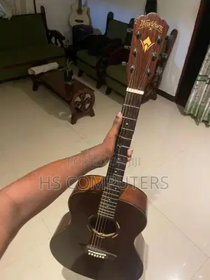 Semi Acoustic Guitar