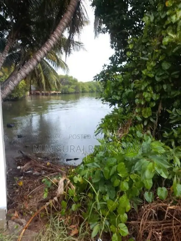 Valuable Land for Sale in Katunayake Lagoon