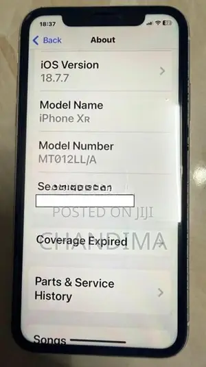 Apple iPhone XR (Used)