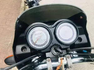 Bajaj Platina 2013