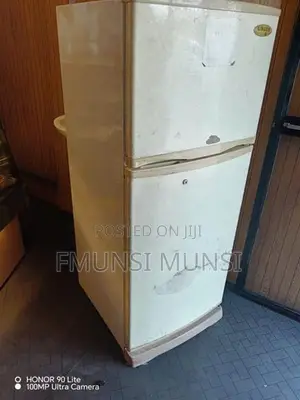 Singer Fridge
