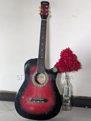 Jervis Guitar