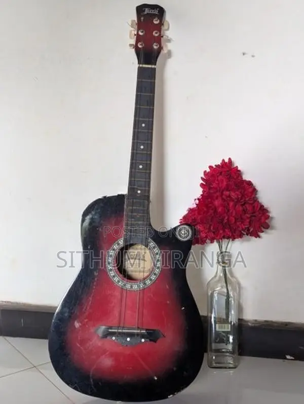 Jervis Guitar