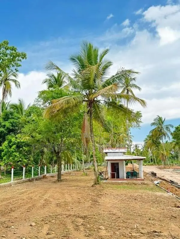Land for Sale Naranmala City