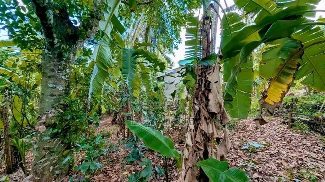 Land for Sale in Wathupitiwala