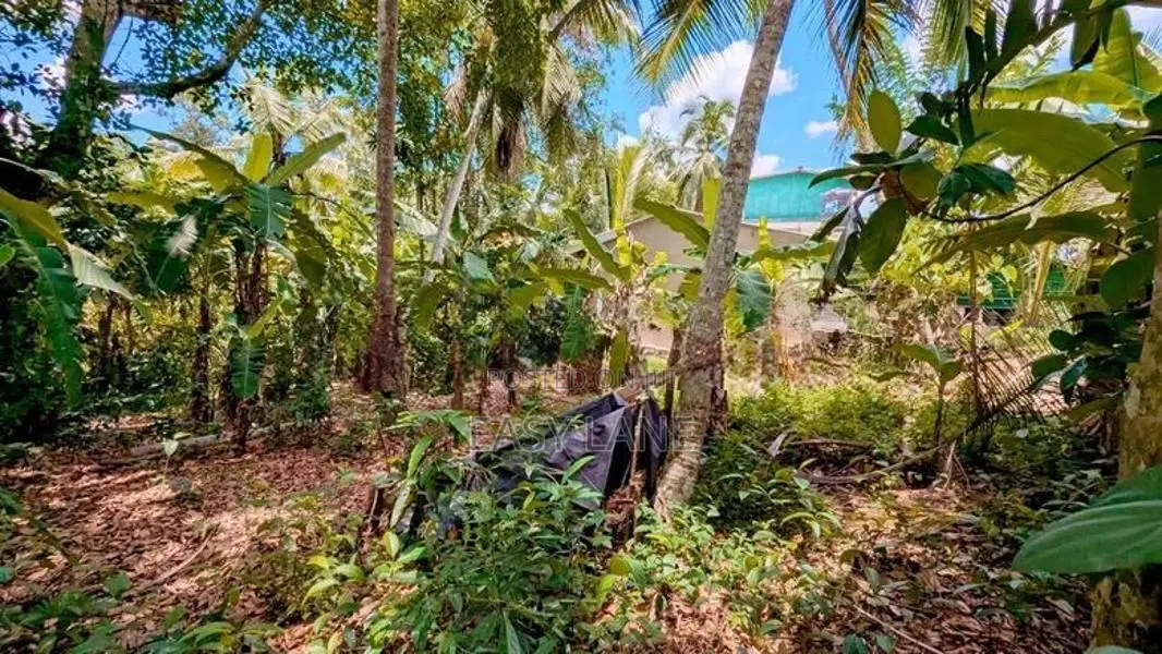 Land for Sale in Wathupitiwala