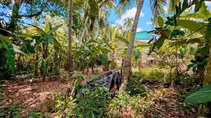 Land for Sale in Wathupitiwala