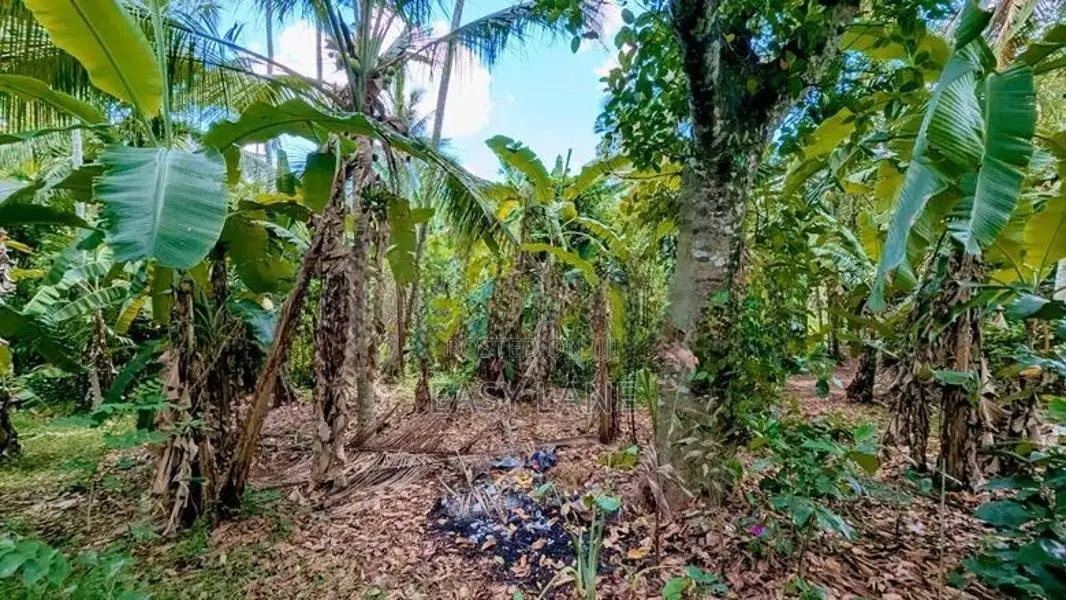 Land for Sale in Wathupitiwala