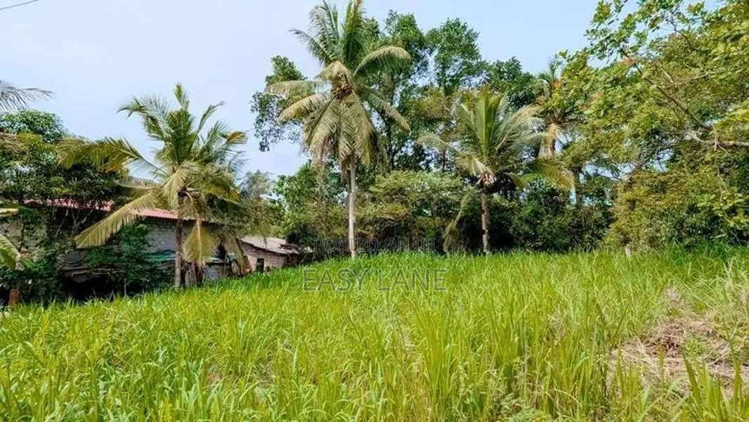 මීරීගම ඉඩමක්