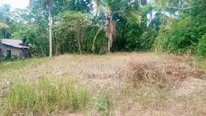 මීරීගම ඉඩමක්