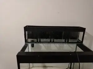 Fish Tank with Top Filter