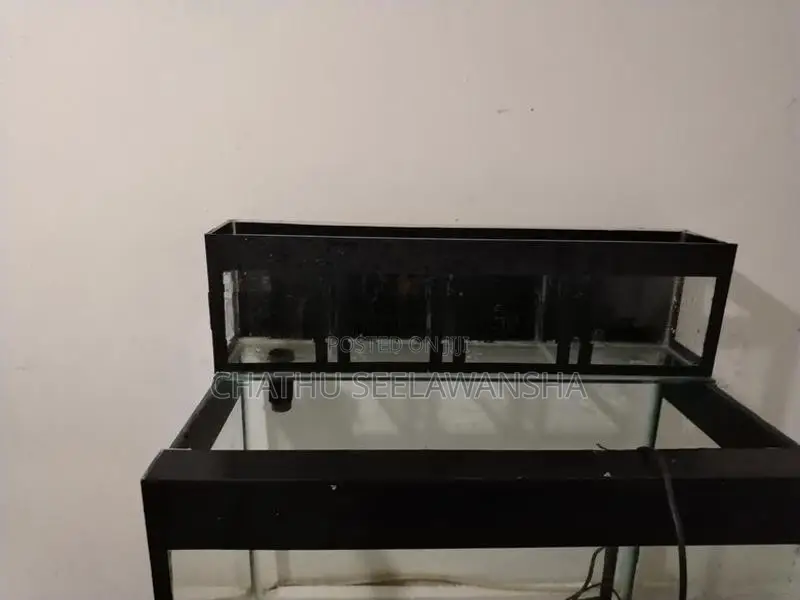 Fish Tank with Top Filter