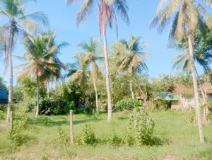 Land for Sale in Naththandiya