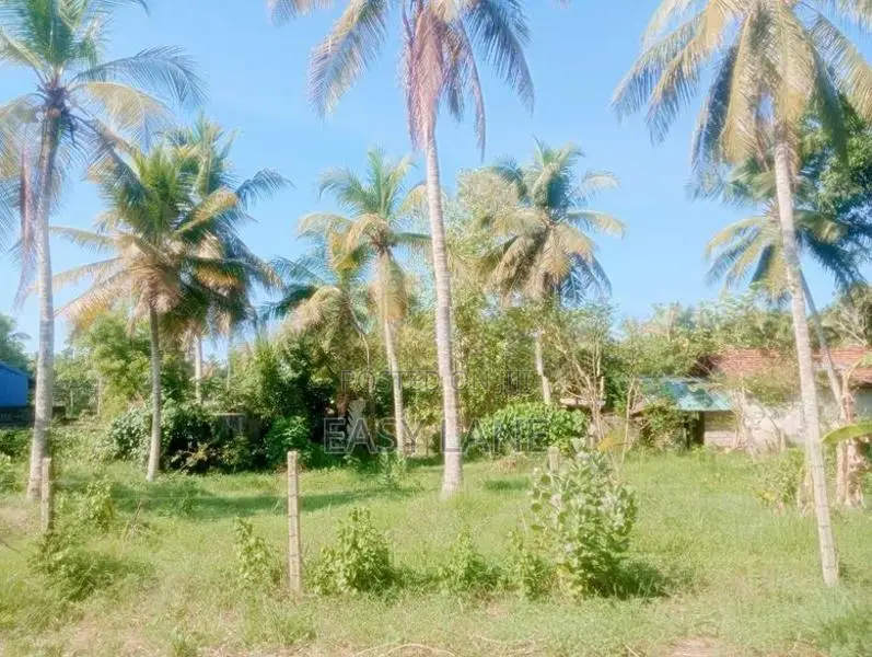 Land for Sale in Naththandiya