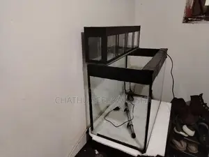 Fish Tank with Top Filter