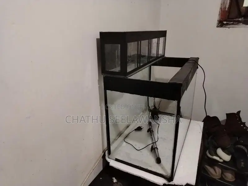 Fish Tank with Top Filter