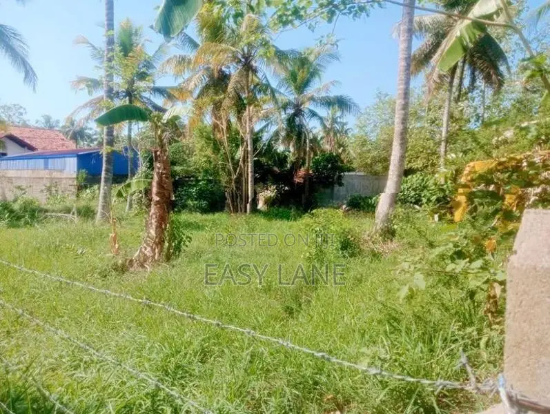 Land for Sale in Naththandiya